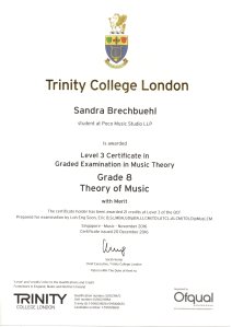 sandra-brechbuehl-grade-8-trinity-theory-nov-2016